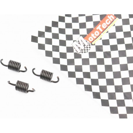 Пружина варіатора к-кт 3шт Honda Lead 90-1500об/хв Mototech