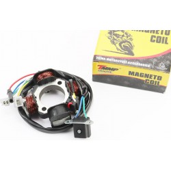 Статор магнето (генератора) Suzuki AD50/100 (4 котушки роз'єм "мама/тато 2+2+1")+датчик Холла TMMP