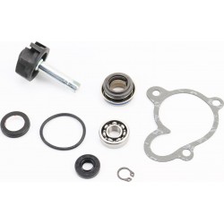 Ремонтный комплект помпы водяной+крыльчатка Yamaha Majesty 250, 8 деталей Китай