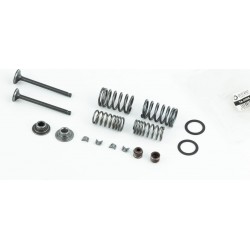 Клапана впускной (H-69/ D-18,6), выпускной (H-69/ D-16), полный к-кт TATA