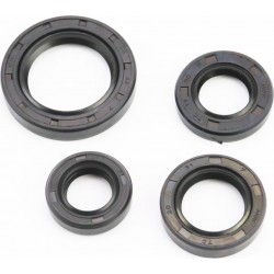 Сальники к-кт 4шт (15x25,5x7/ 17x30x6/ 20x31x7/ 28x42x7) двигателя, Honda LEAD AF48 Китай