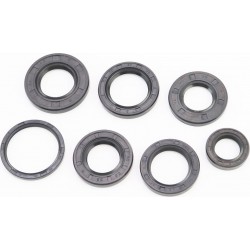 Сальники к-кт 7шт (17x27x6/ 20x38x5/ 22x38x6/ 24x43x6/ 25x37x6/ 27x40x6/ 34x41x4) двигателя, Suzuki AD100 Mototech