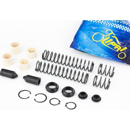 Ремонтный комплект вилки передней Honda DIO, полный к-кт LIPAI