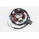 Статор магнето (генератора) Honda LEAD-90 (6 катушек разъем "мама 2+2") TATA