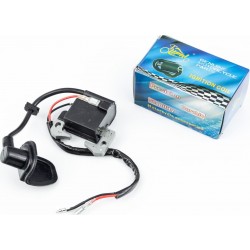 ATV детский-Катушка зажигания LIPAI