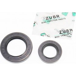 Сальники к-кт 2шт (35x58x12/ 50x80x12) двигателя ZS1100 Viper