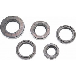 Сальники к-кт 5шт (19x32x6/ 25x42x10/ 30x42x7/8-2шт/ 30x52x10) КАСКАД, НЕВА, ОКА, ЛУЧ Китай