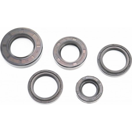 Сальники к-кт 5шт (19x32x6/ 25x42x10/ 30x42x7/8-2шт/ 30x52x10) КАСКАД, НЕВА, ОКА, ЛУЧ Китай