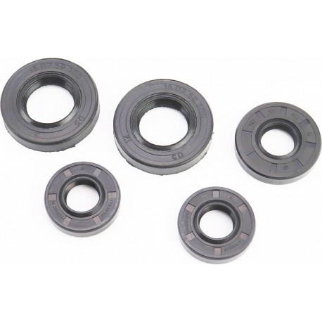 Сальники к-кт 5шт (17x35x8-2шт/ 17x40x8/ 25x47x8-2шт) КРОТ Китай