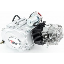 Двигатель мопедный в сборе 110куб (Active)-"автомат" TMMP