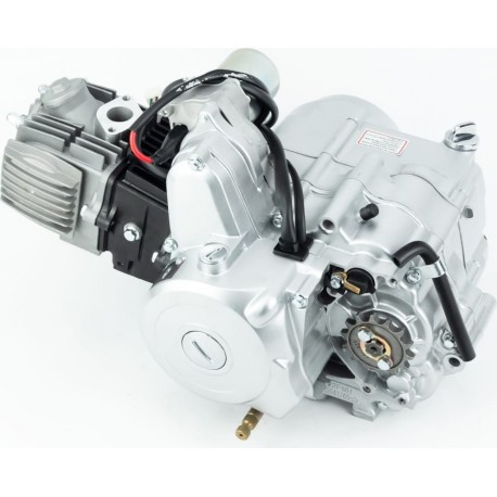 Двигатель мопедный в сборе 110куб (Active)-"автомат" Китай