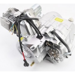 Двигатель мопедный в сборе 110куб (ALPHA)-"механика" (заливная горловина сверху) СЛОН