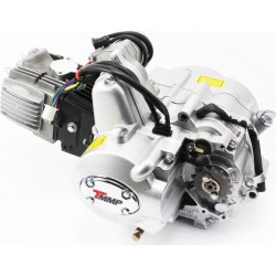 Двигатель мопедный в сборе 125куб (Active)-"механика" TMMP