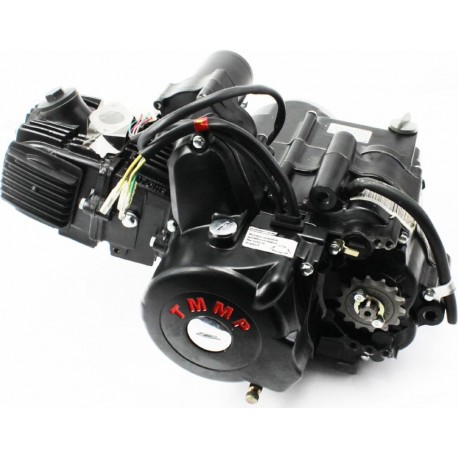 Двигатель для квадроцикла (мопедный) в сборе 110куб-"механика" (1 передача+1 задняя) TMMP