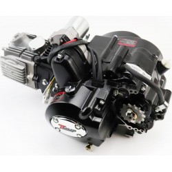 Двигун для квадроцикла (мопедний) у зборі 125куб-"автомат" (3 передачі+1 задня), чорний TMMP