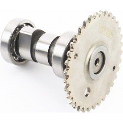 розподільчий вал в зборі TATA