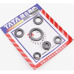 Сальники к-кт 6шт (11,6x24x10/ 12x21x4/ 13,7x24x5/ 17x29x5/ 18,9x30x5/ 30x42x4,5) двигателя, 70cc TATA