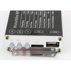 АУДИО-блок (МРЗ-USB/SD, FM-радио, пультДУ, сигнализация) тип 1 Китай