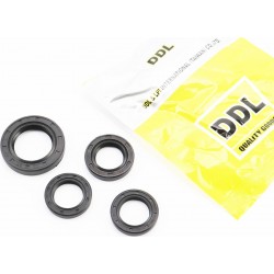 Сальники к-кт 4шт (19,8x30x5-2шт/ 20x32x6/ 27x42x7) двигателя DDL