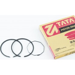 Кільця поршневі Honda TACT (SA50) 41мм +0,25 (замки внутрішні) TATA