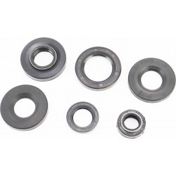 Сальники к-кт 6шт (16x47x10 18x47x10 19x32x5 27x40x7 34x45x10-2шт) Китай