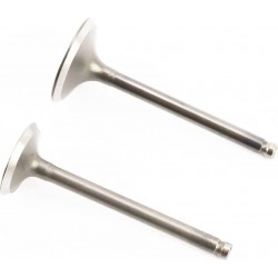 Клапана впускний (H-66/ D-28), випускний (H-65,5/ D-22,7) к-кт 2шт, 150cc Китай