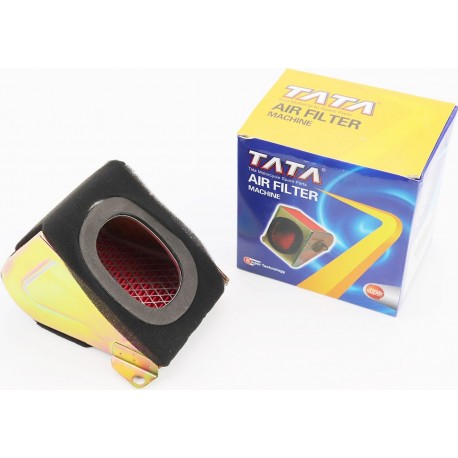 Фільтр-елемент повітряний трикутник 125cc TATA