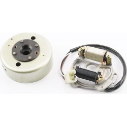 Магнето в сборе Китай