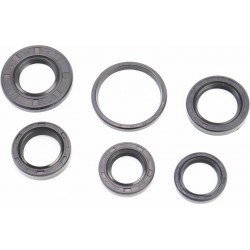 Сальники к-кт 6шт (17x28x5,5/ 19x26x5/ 20x30x7/ 20x38x5/ 22x32x5,5/ 34x39x3) двигателя, TB60 Mototech