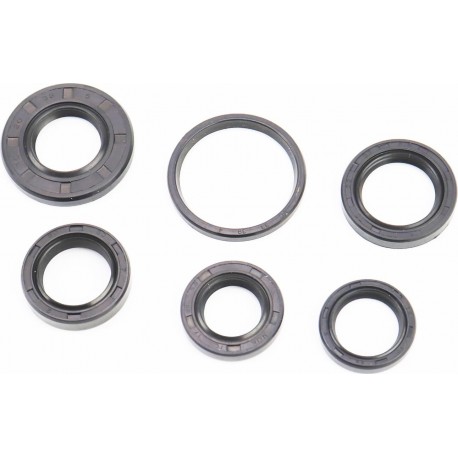 Сальники к-кт 6шт (17x28x5,5/ 19x26x5/ 20x30x7/ 20x38x5/ 22x32x5,5/ 34x39x3) двигателя, TB60 Mototech