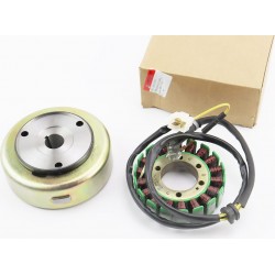 Магнето в зборі 250cc Viper