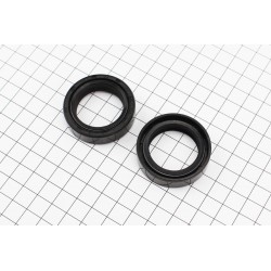 Сальник (30x42x10,5) к-кт 2шт, вилки передньої DDL