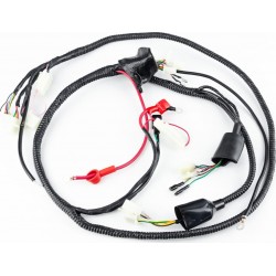 Проводка центральна 150cc тип 5 (див. фото) Viper
