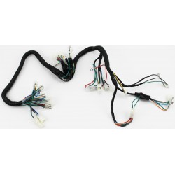 Проводка центральная к-кт TATA