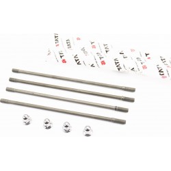 Шпилька циліндра к-кт 4шт (2шт-225мм 2шт-234мм)+гайки CB-200-250cc TATA