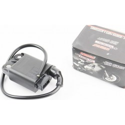 Котушка запалювання з комутатором 2T Aprilia, Derbi, Gilera, Italjet CHENHAO