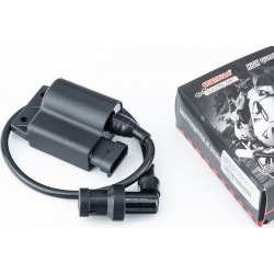 Катушка зажигания с коммутатором 4T Aprilia, Derbi, Gilera, Italjet CHENHAO
