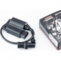 Катушка зажигания с коммутатором 4T Aprilia, Derbi, Gilera, Italjet CHENHAO