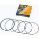 Кільця поршневі Yamaha MAJESTY 250 69мм +0,25 DHOK