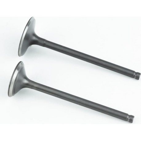 Shineray XY250GY-6B Клапана выпускной (H-89,3/ D-27), впускной (H-90,5/ D-31,5) к-кт 2шт 169FMM SHINERAY