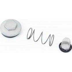 Гайка "хром" зливна олії, манжет, пружина, фільтр масляний, к-кт 4шт Китай