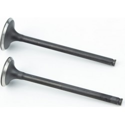 Tekken New 250 Клапана випускний (H-83,3/ D-21,5), впускний (H-82,8/ D-25) к-кт 2шт 171FMM Loncin FE250 Китай