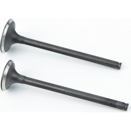 Tekken New 250 Клапана выпускной (H-83,3/ D-21,5), впускной (H-82,8/ D-25) к-кт 2шт 171Fмм Loncin FE250 Китай