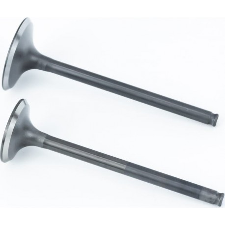 Tekken 300 Клапана випускної (H-78/ D-23,7), впускної (H-78,5/ D-28,5) к-кт 2шт 176FMM Китай