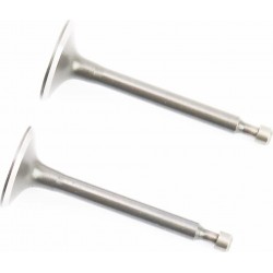 Клапани впускний (H-64/ D-25/ d-5,45), випускний (H-62/ D-24/ d-5,45) к-кт 2шт 168F Китай