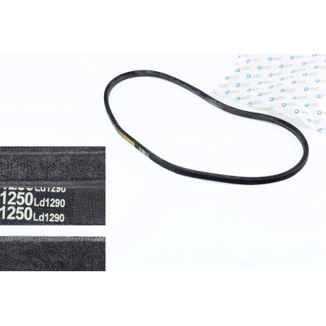 Ремінь В-1250Li TATA