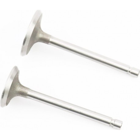 Клапана впускной (H-69,5/ D-30,5/ d-5,5), выпускной (H-69,5/ D-25,5/ d-5,5) к-кт 2шт 173F Китай