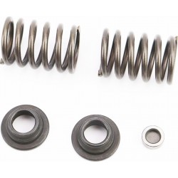 Клапанный механизм к-кт 5шт 178F (пружина-2шт+компенсатор клапана-1шт+тарелка клапана-2шт) Китай