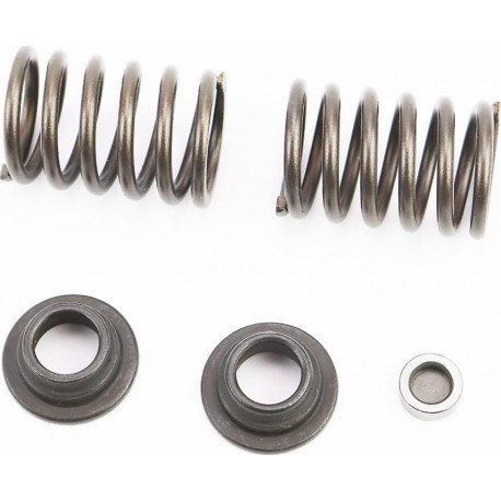 Клапанный механизм к-кт 5шт 178F (пружина-2шт+компенсатор клапана-1шт+тарелка клапана-2шт) Китай