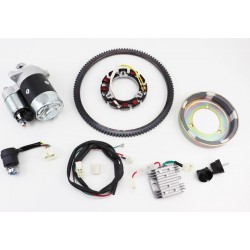 Комплект для переоснащения мотоблока под электростартер 186F (электростартер, замок, проводка, магнето, реле, венец) Китай
